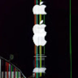 Meet your Posher, Hayden